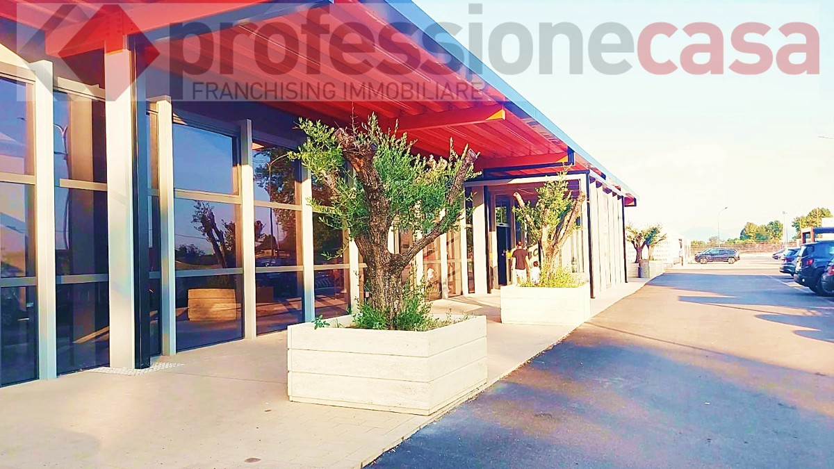 Negozio in affitto a Castrocielo