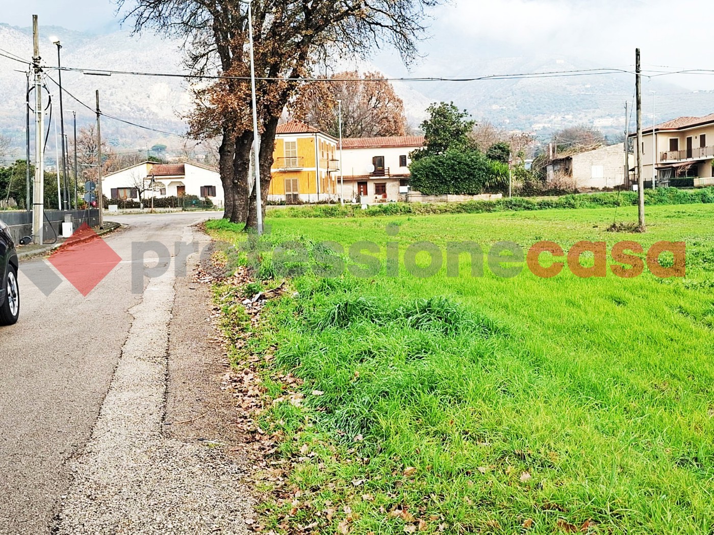 Terreno Agricolo in affitto a Piedimonte San Germano