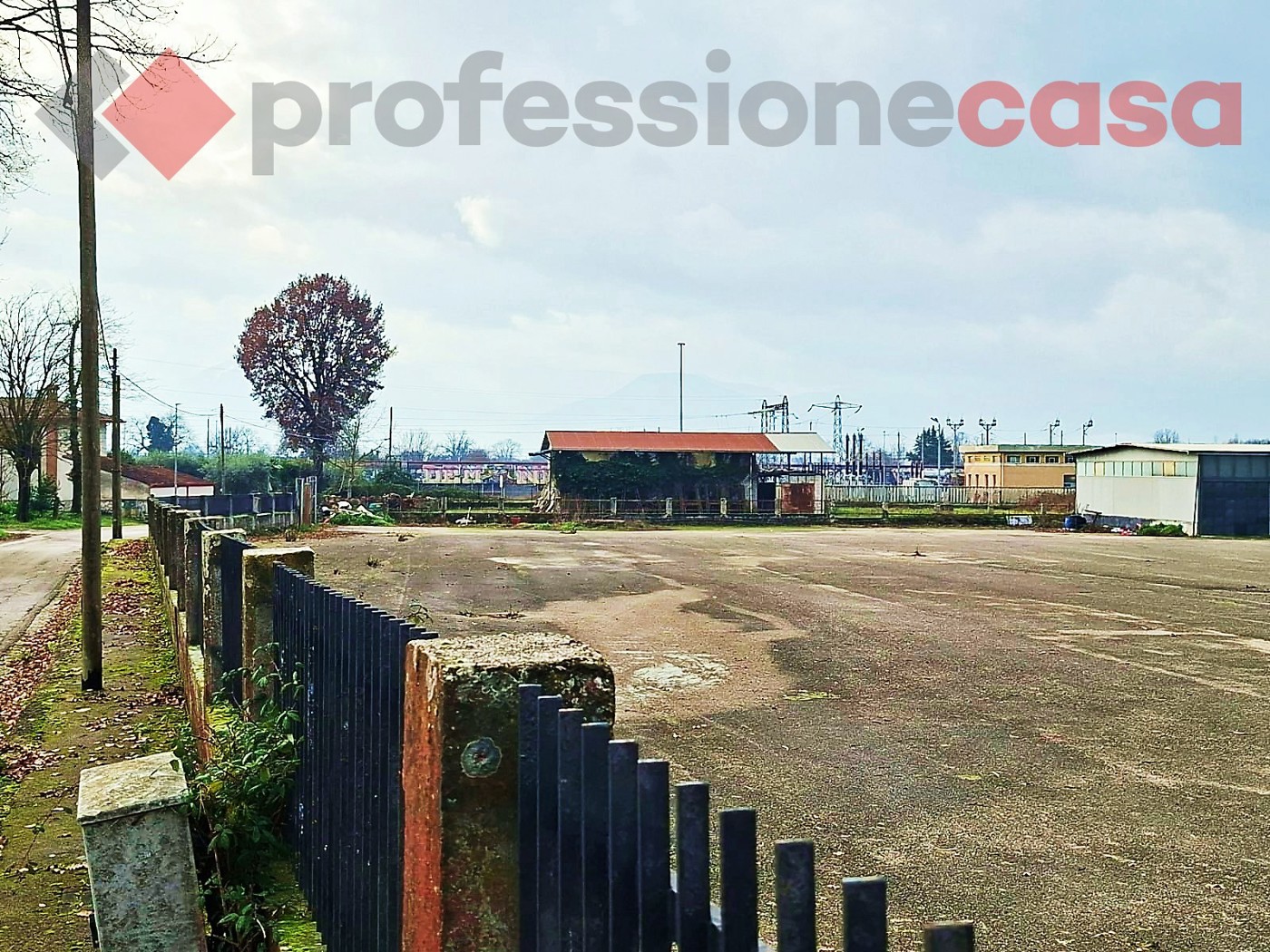 Terreno Agricolo in affitto a Piedimonte San Germano