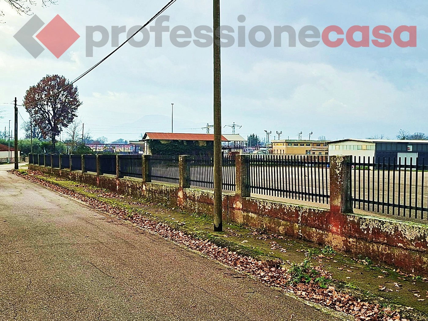 Terreno Agricolo in affitto a Piedimonte San Germano