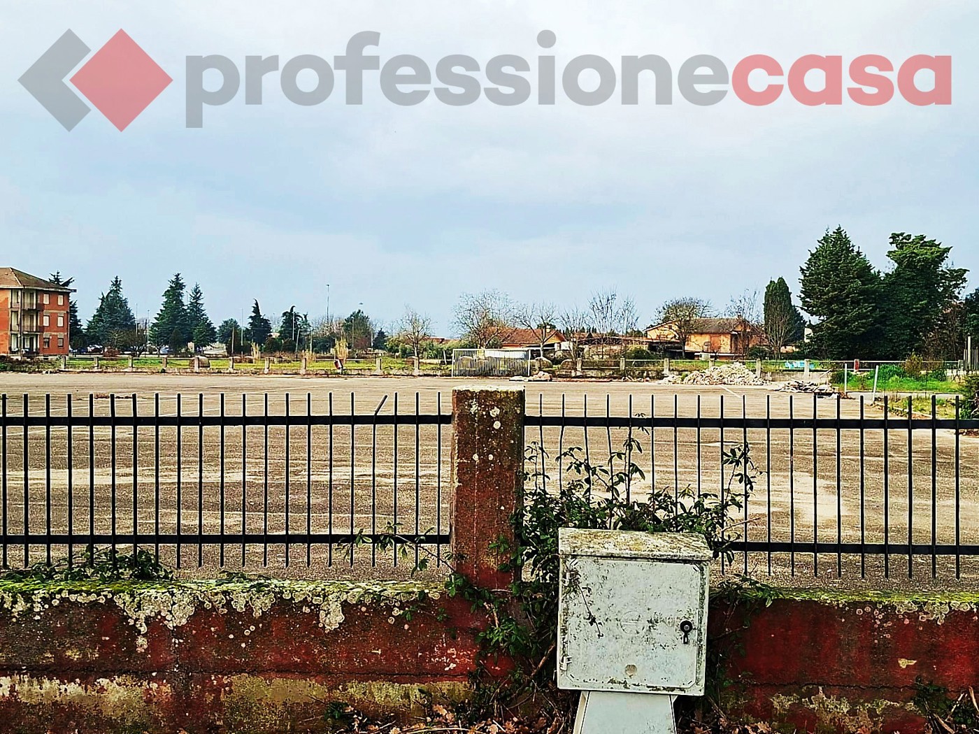 Terreno Agricolo in affitto a Piedimonte San Germano
