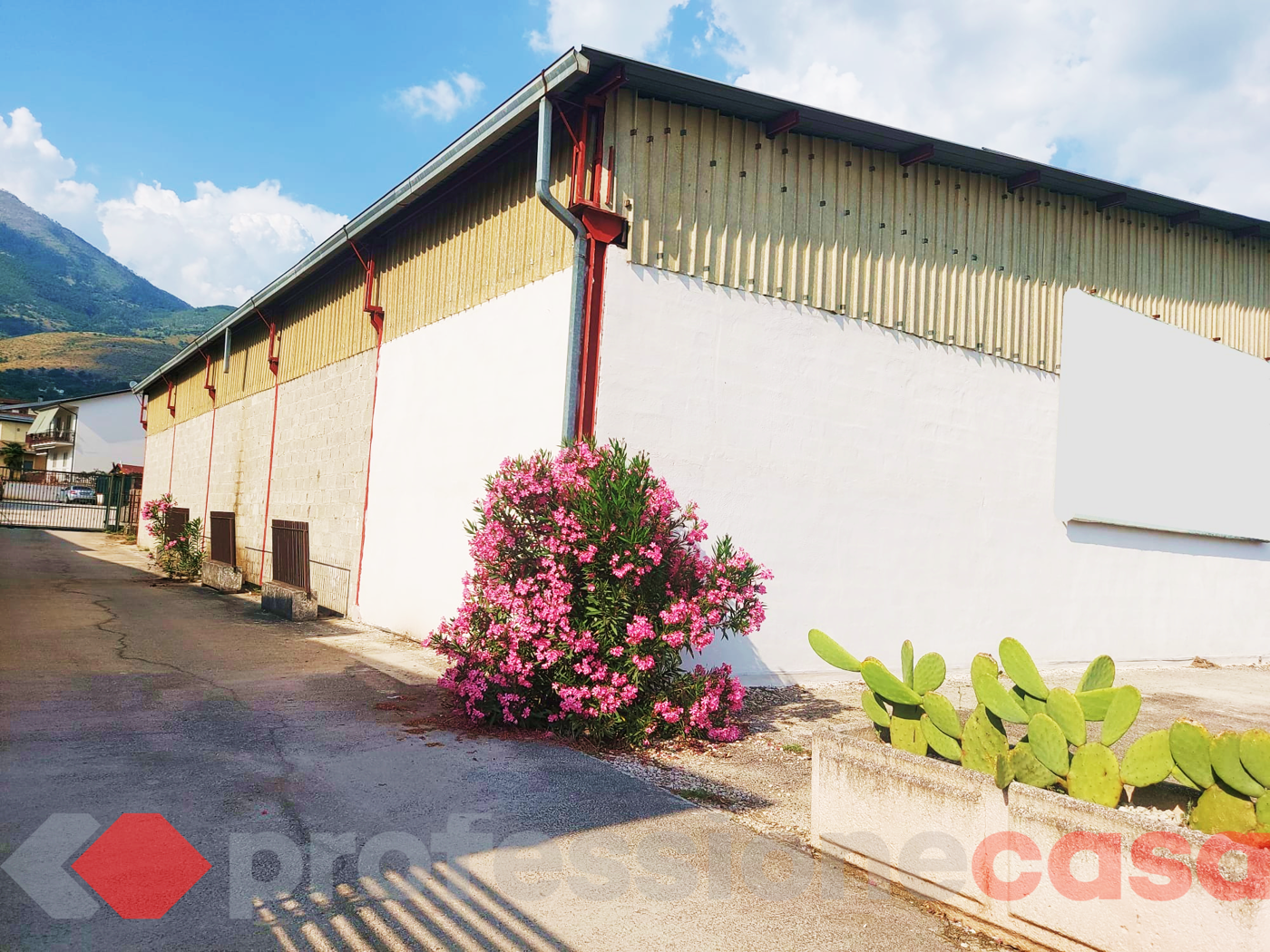 Magazzino in affitto a Piedimonte San Germano