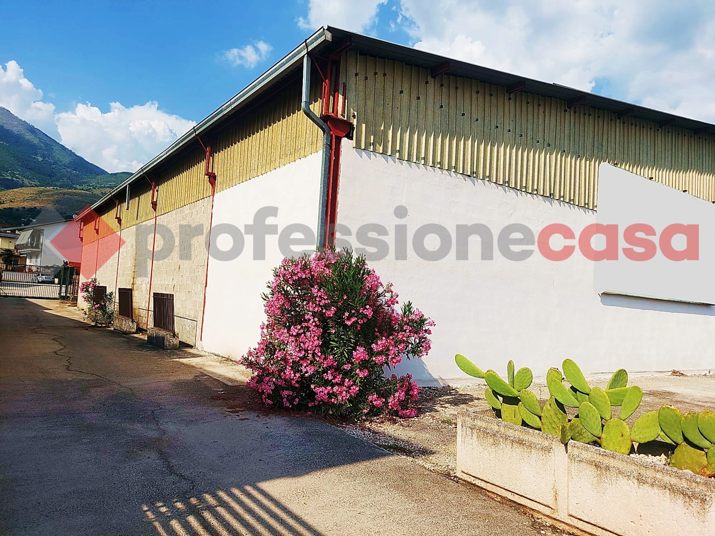 Magazzino in affitto a Piedimonte San Germano