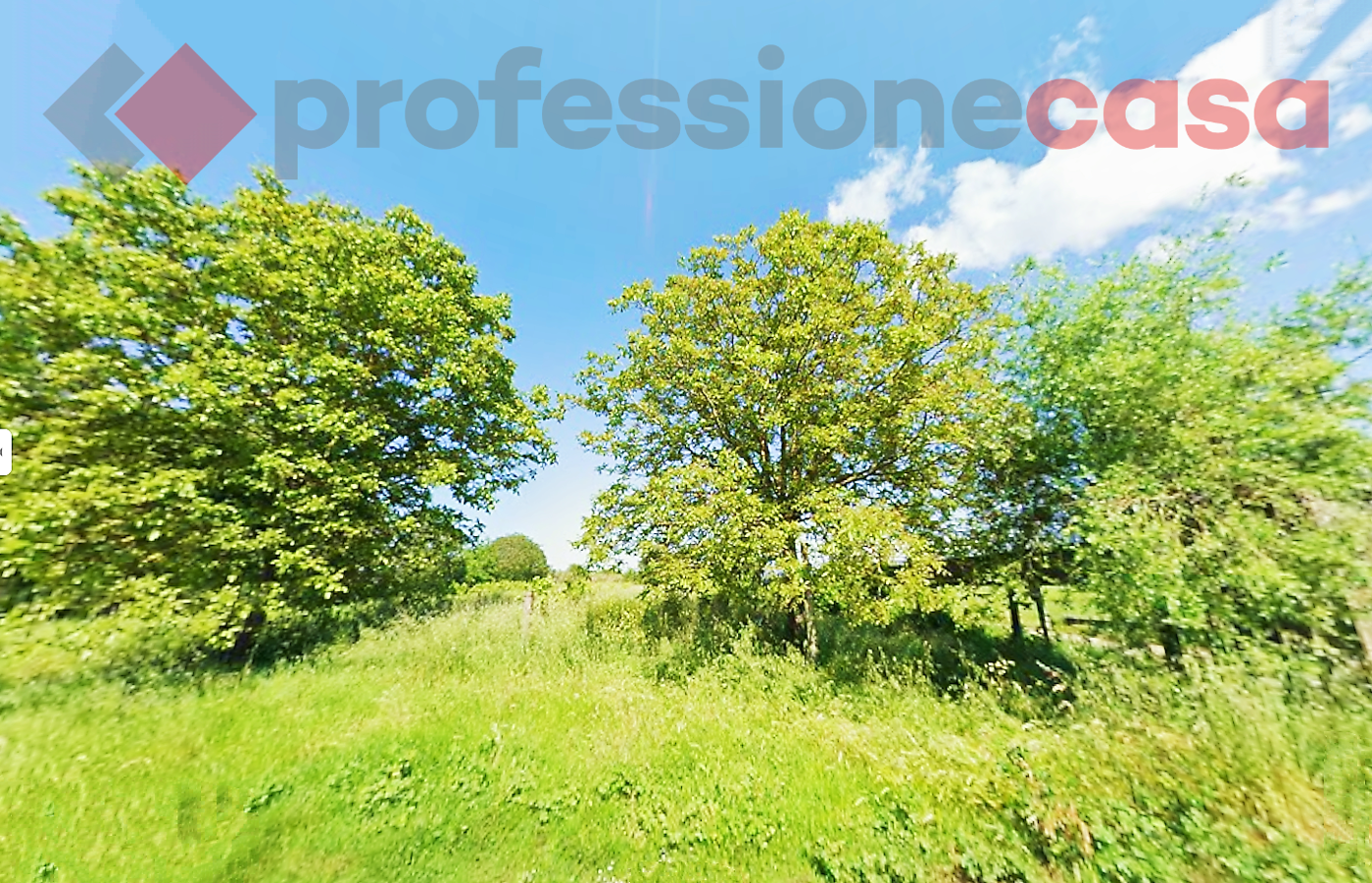 Terreno Agricolo in vendita a Aquino