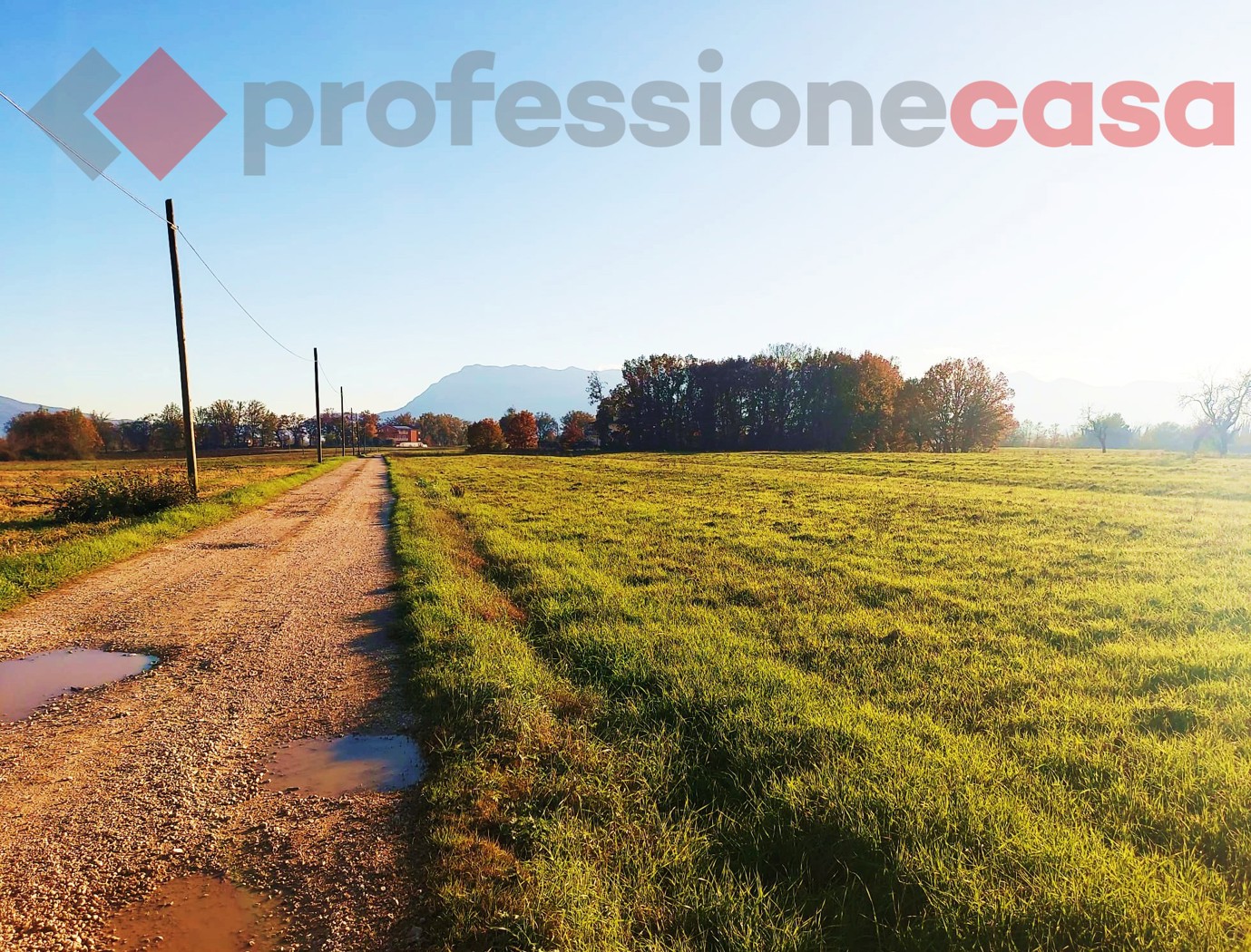 Terreno Agricolo in vendita a Aquino