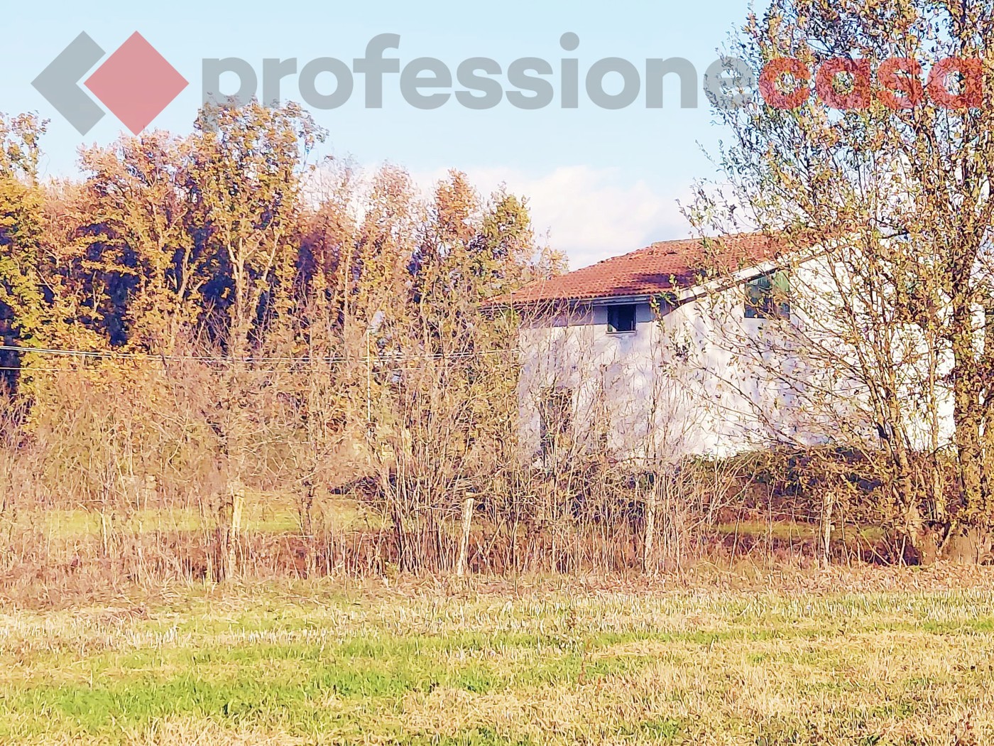 Terreno Agricolo in vendita a Aquino