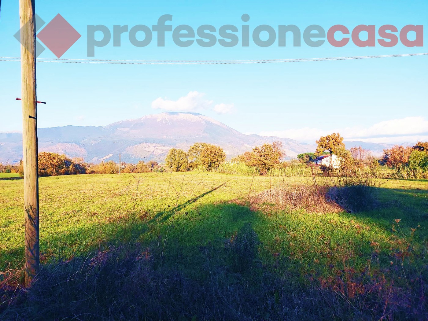 Terreno Agricolo in vendita a Aquino