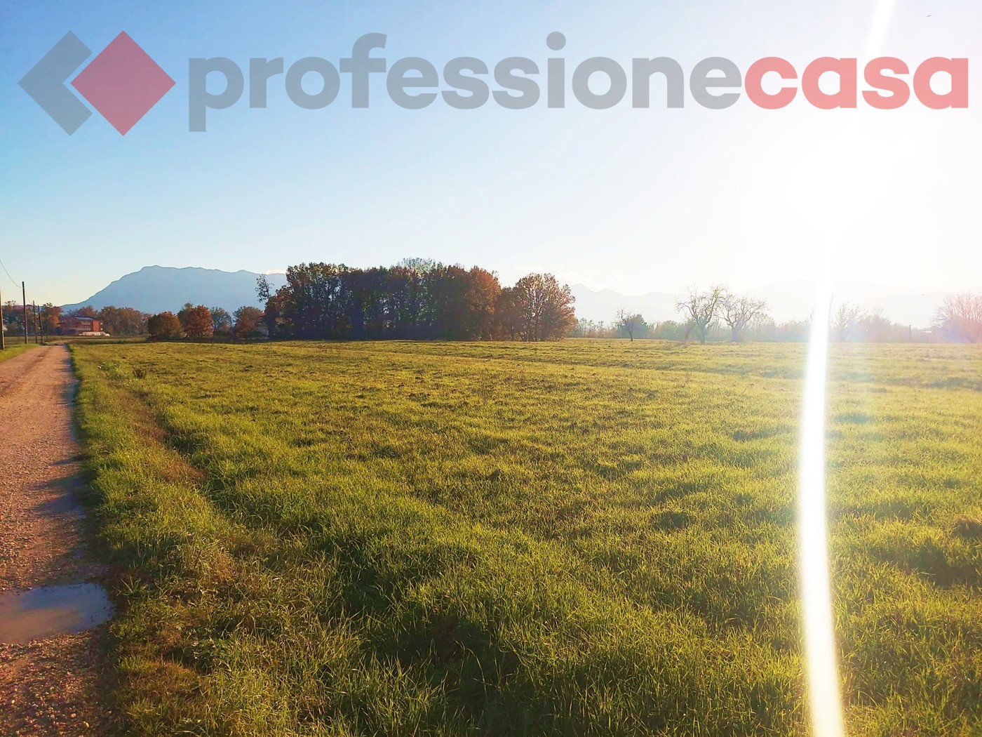 Terreno Agricolo in vendita a Aquino