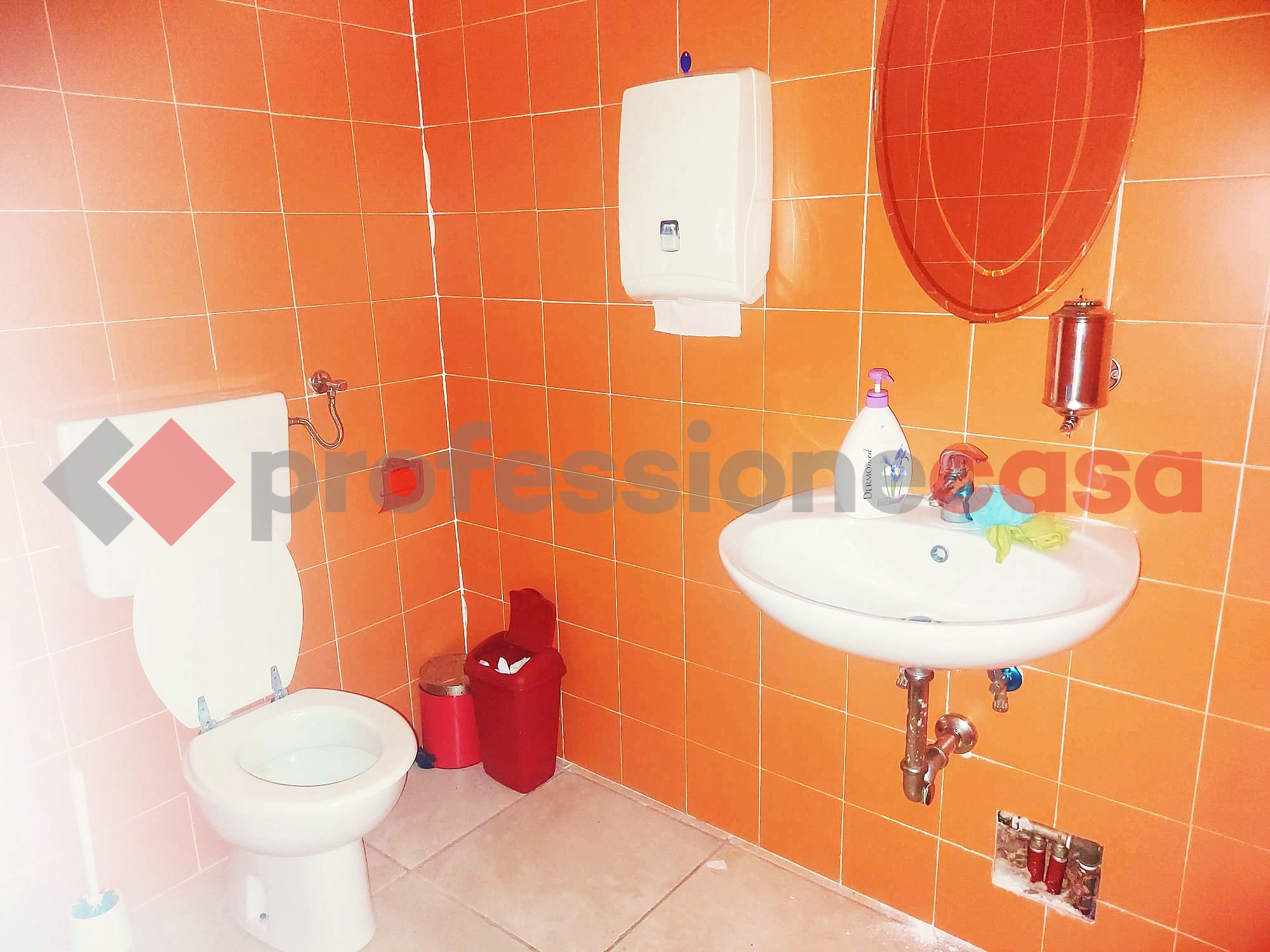 Negozio in affitto a Castrocielo