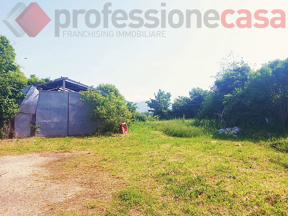 Villa Bifamiliare in vendita a Piedimonte San Germano