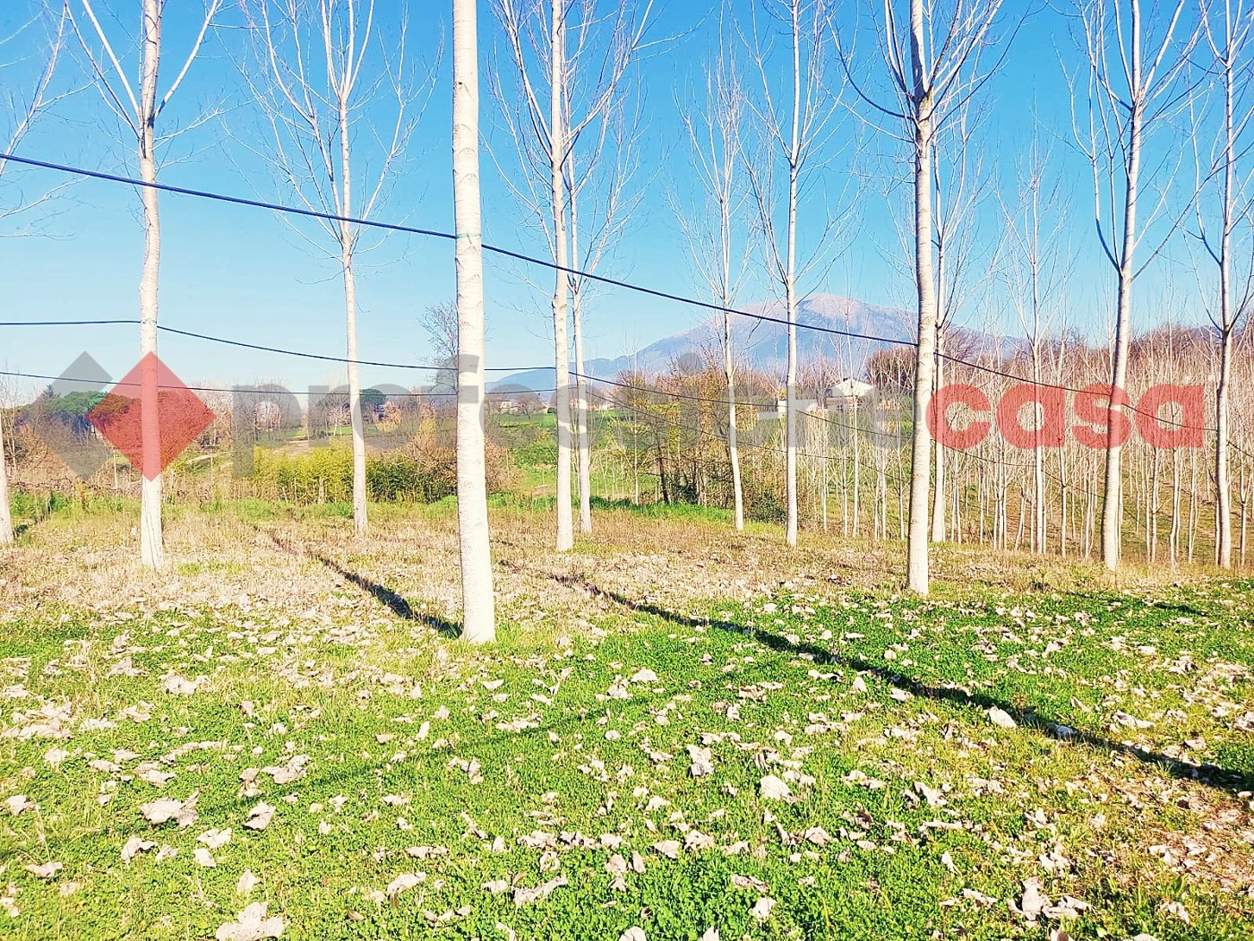 Rustico in vendita a Pignataro Interamna
