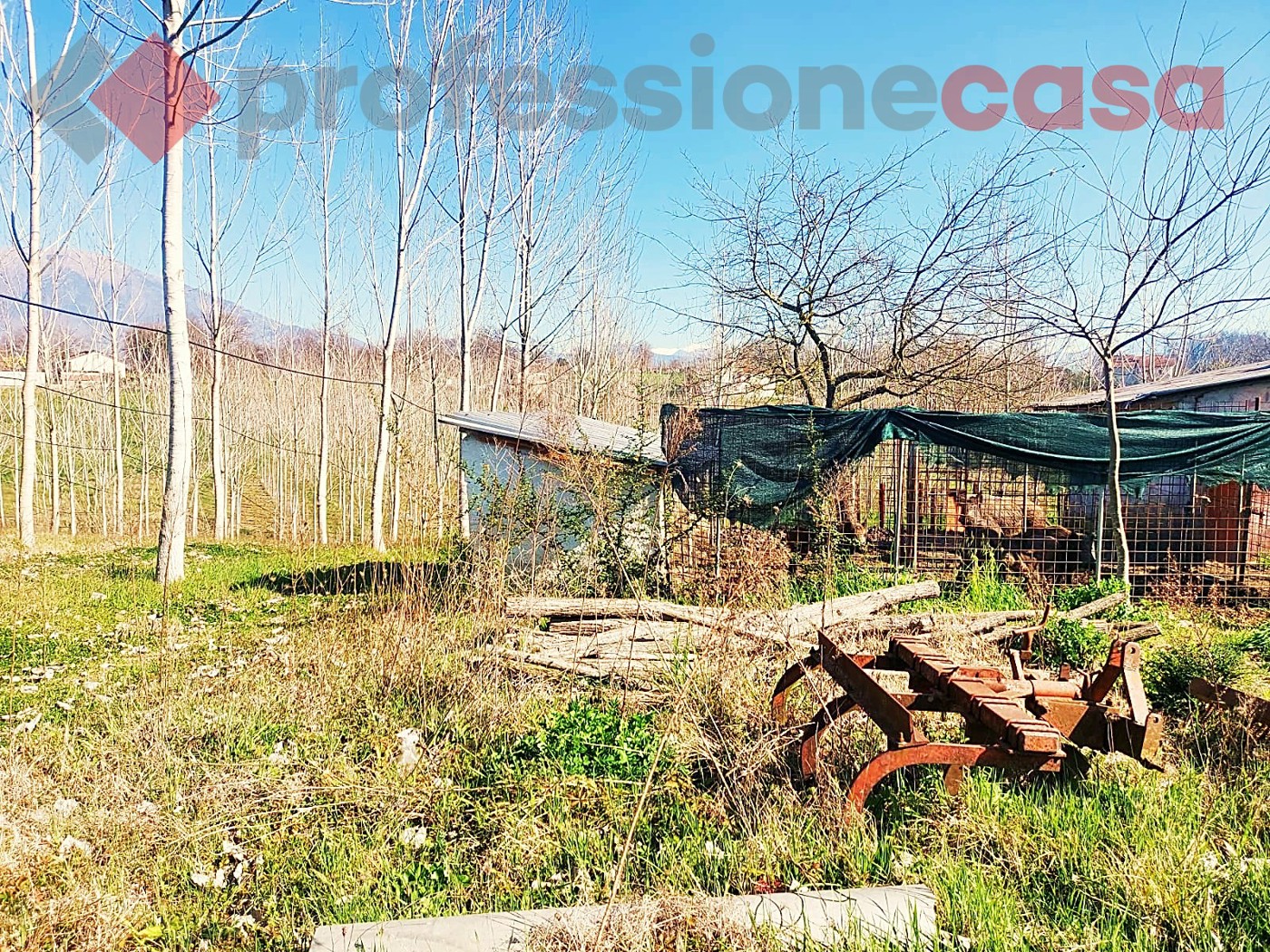 Rustico in vendita a Pignataro Interamna