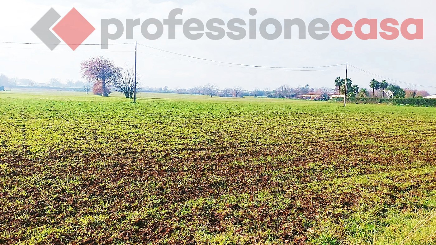 Terreno Agricolo in vendita a Villa Santa Lucia