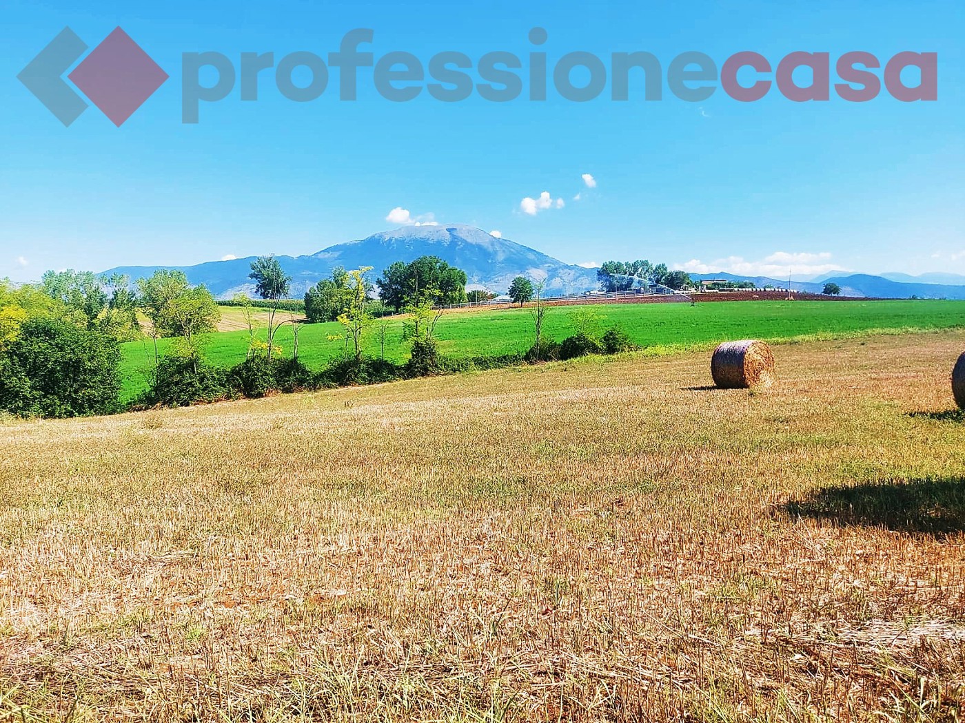 Terreno Agricolo in vendita a Pignataro Interamna