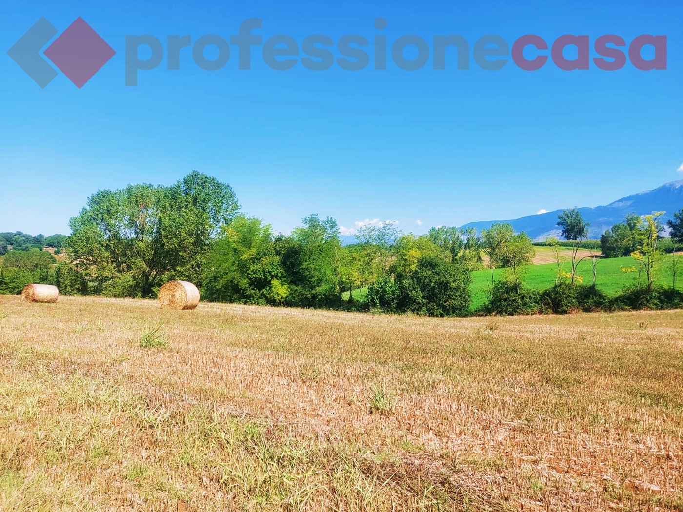 Terreno Agricolo in vendita a Pignataro Interamna