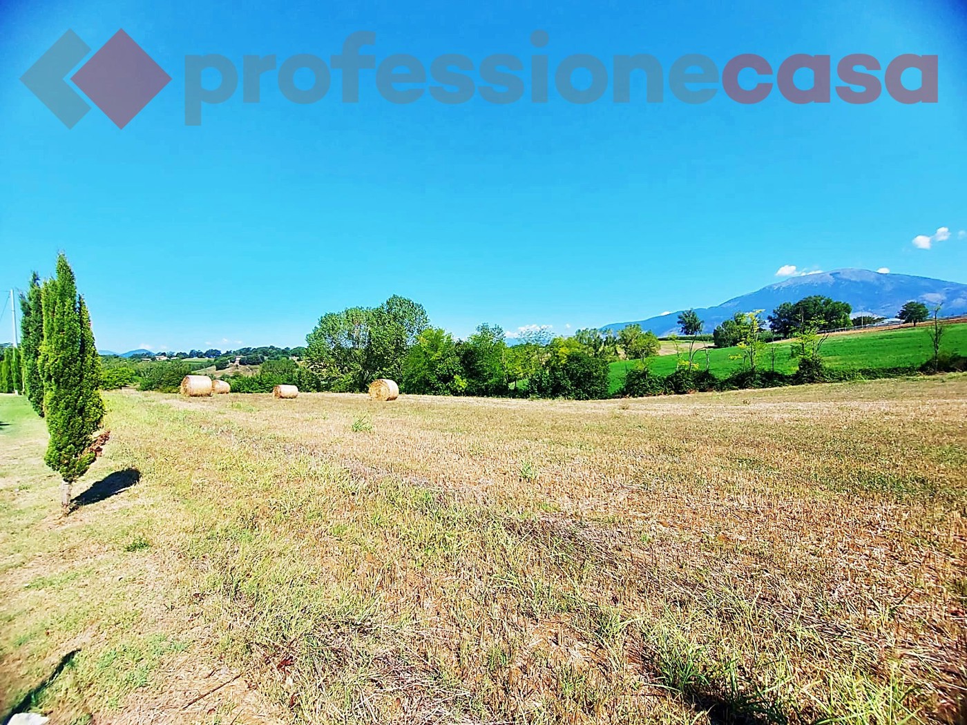 Terreno Agricolo in vendita a Pignataro Interamna