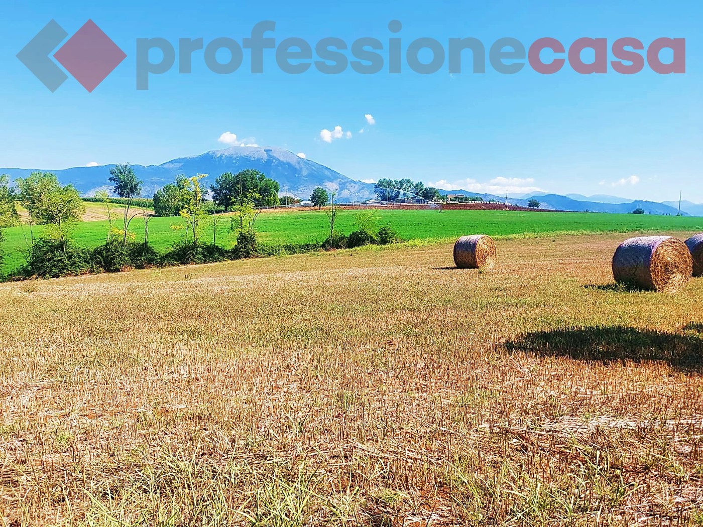 Terreno Agricolo in vendita a Pignataro Interamna