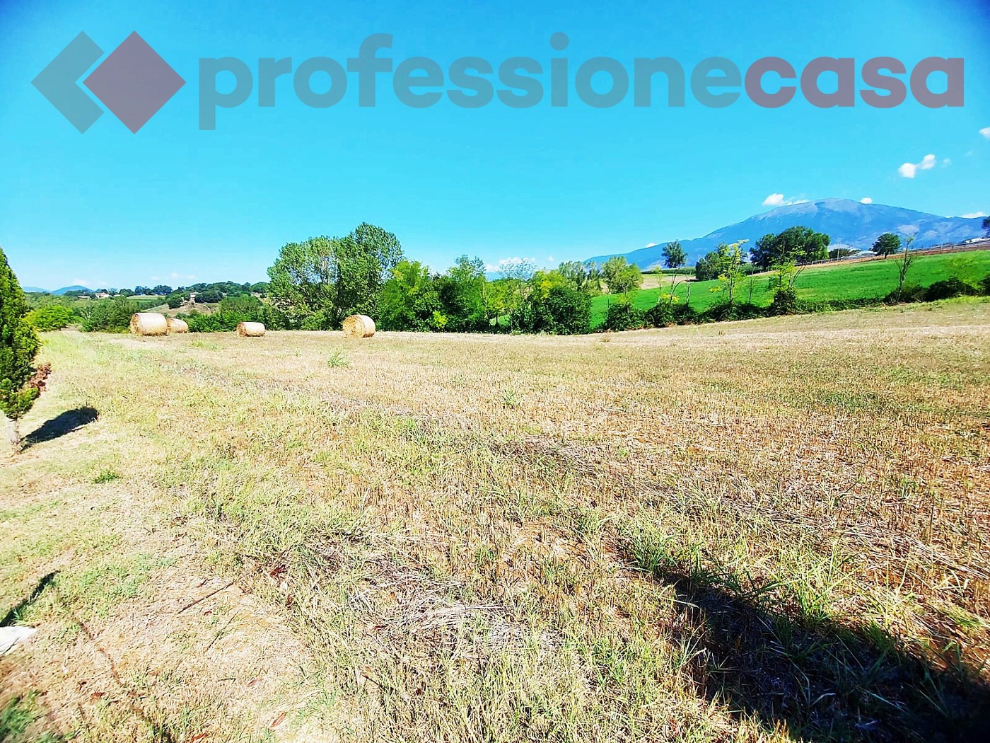Terreno Agricolo in vendita a Pignataro Interamna
