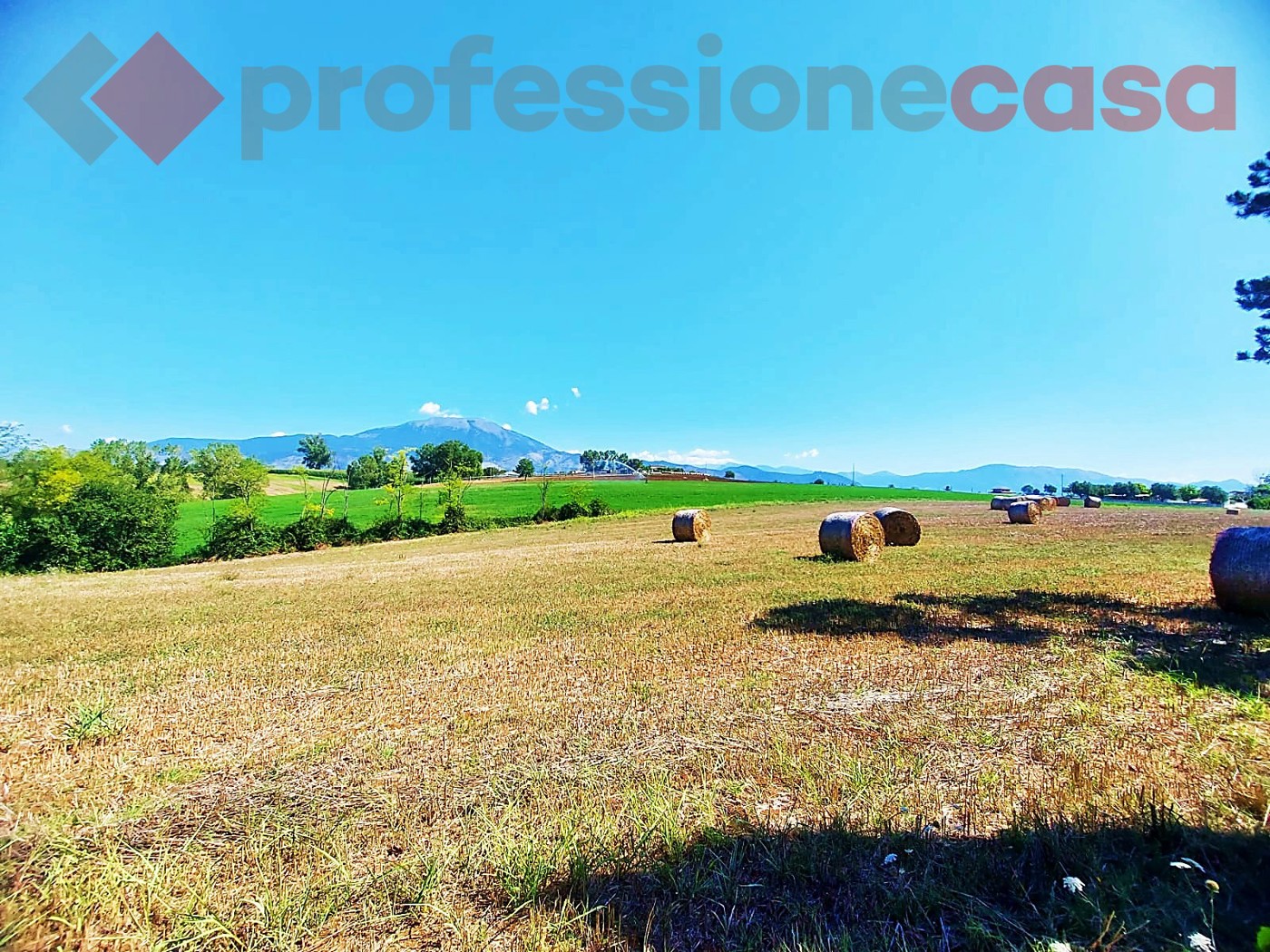 Terreno Agricolo in vendita a Pignataro Interamna