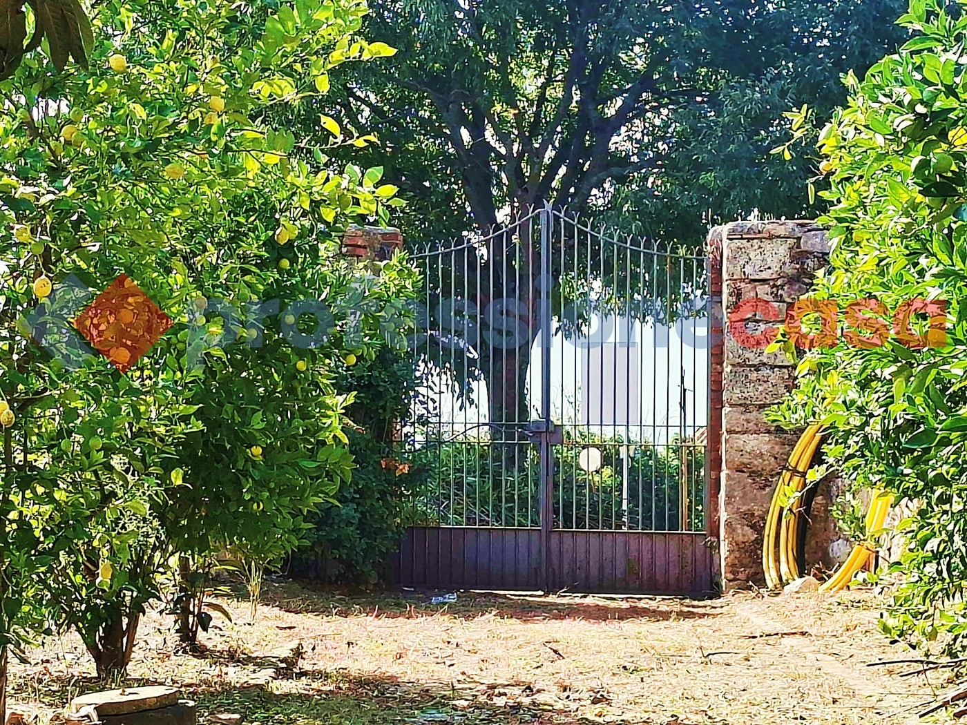 Casa indipendente in vendita a Piedimonte San Germano