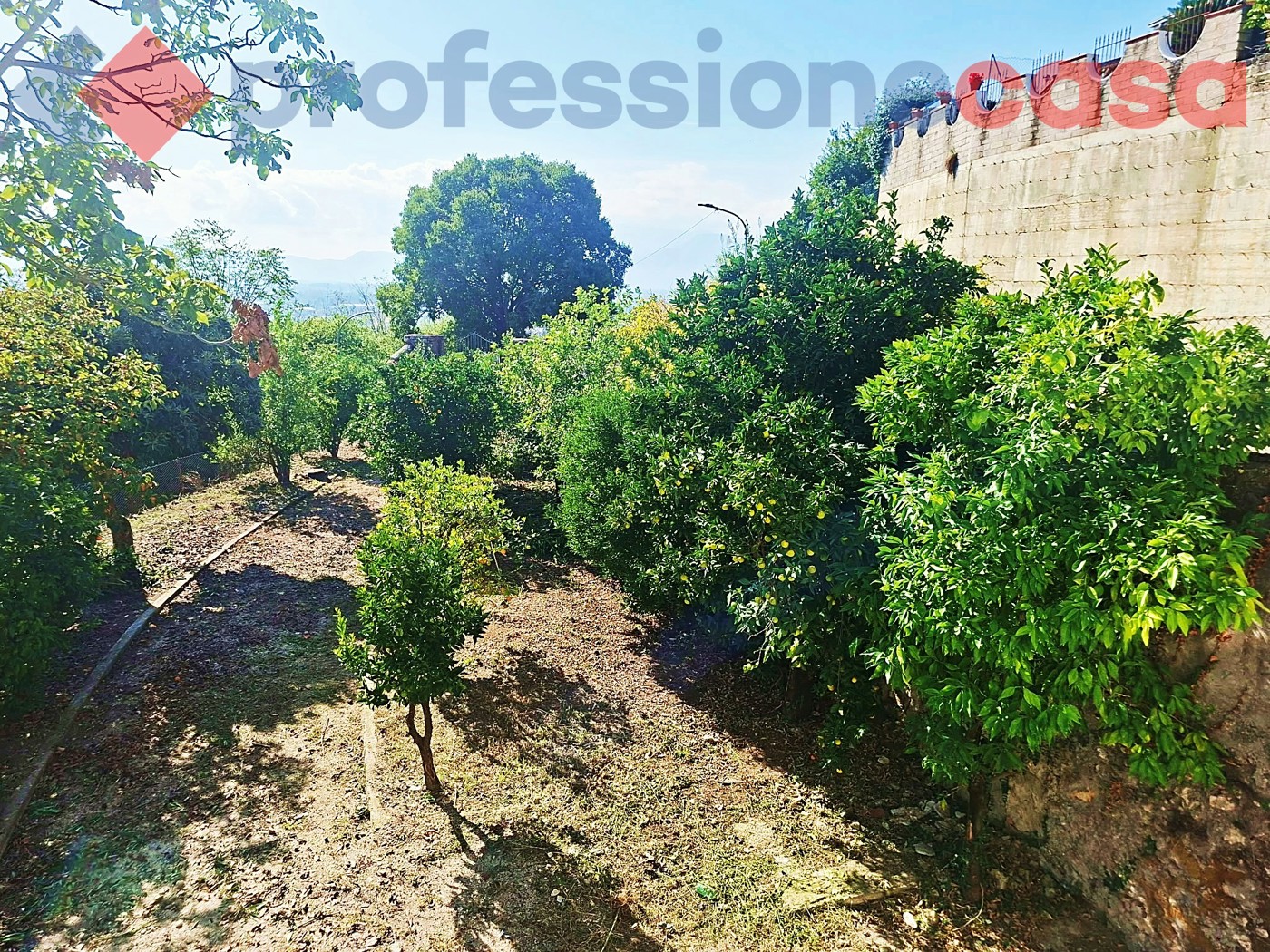 Casa indipendente in vendita a Piedimonte San Germano