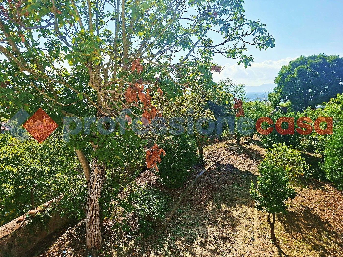 Casa indipendente in vendita a Piedimonte San Germano