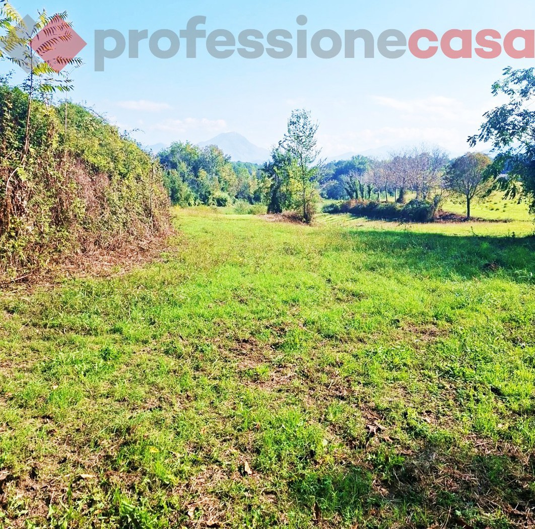 Terreno Agricolo in vendita a Pignataro Interamna