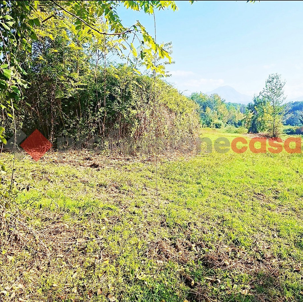 Terreno Agricolo in vendita a Pignataro Interamna