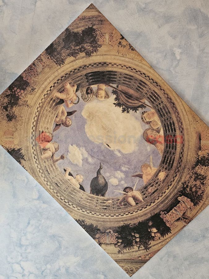 Negozio in affitto a Frosinone