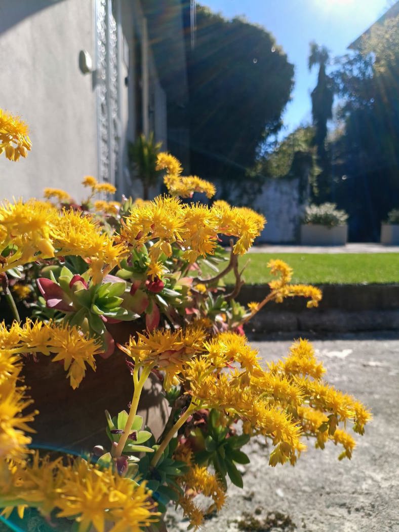 Casa indipendente con giardino a Frosinone
