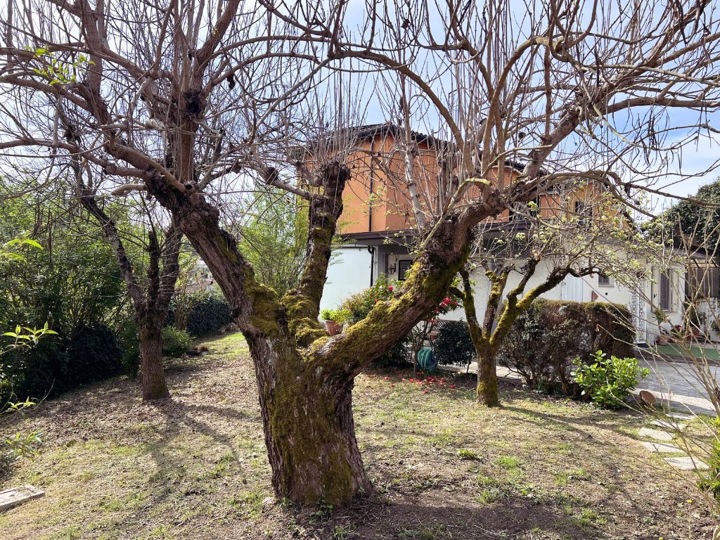 Casa indipendente con giardino a Frosinone