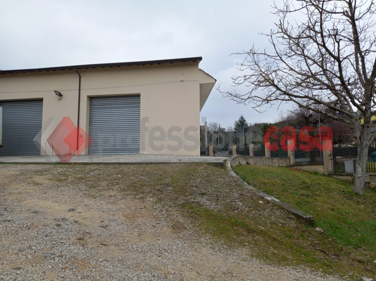 Magazzino in affitto a Frosinone