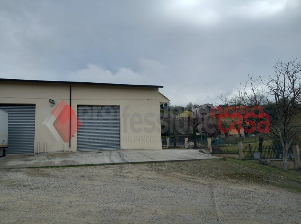 Magazzino in affitto a Frosinone