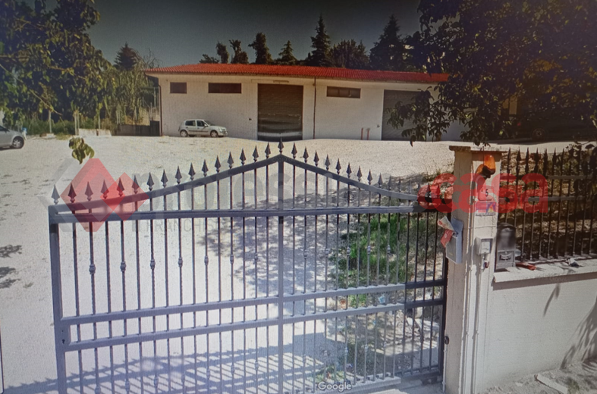 Magazzino in affitto a Frosinone