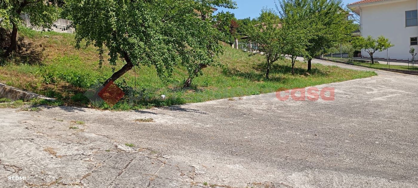 Capannone in affitto a Frosinone