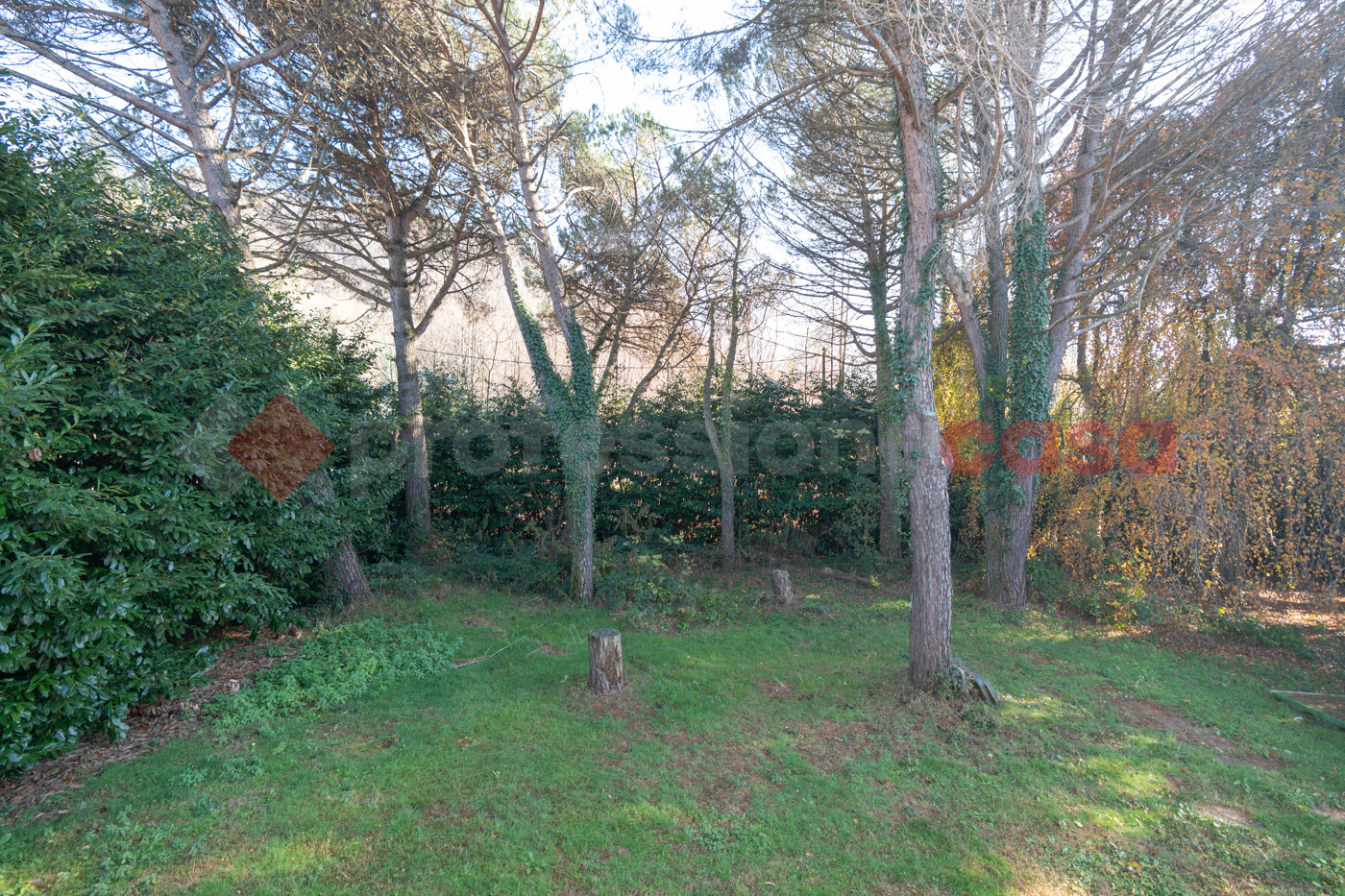 Casa indipendente in vendita a Cumiana