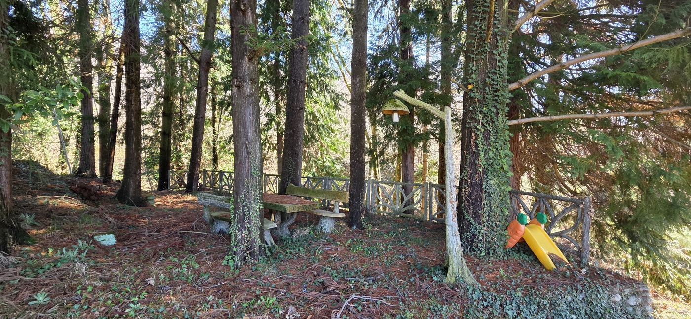 immagine annuncio 7 di 10