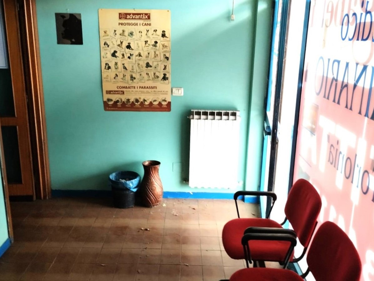 immagine annuncio 6 di 9