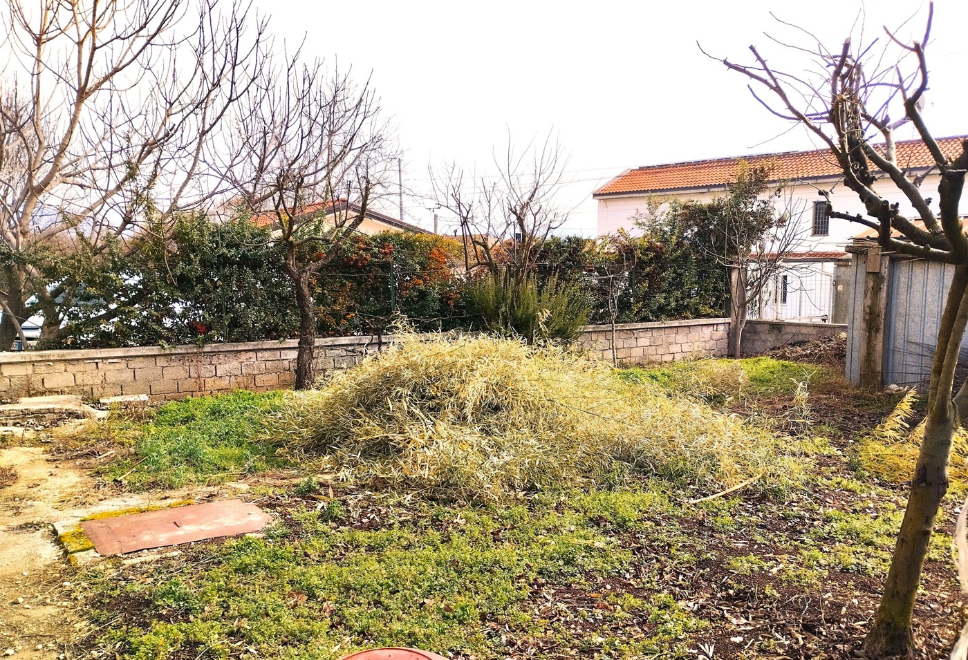 Casa indipendente in vendita a Avezzano