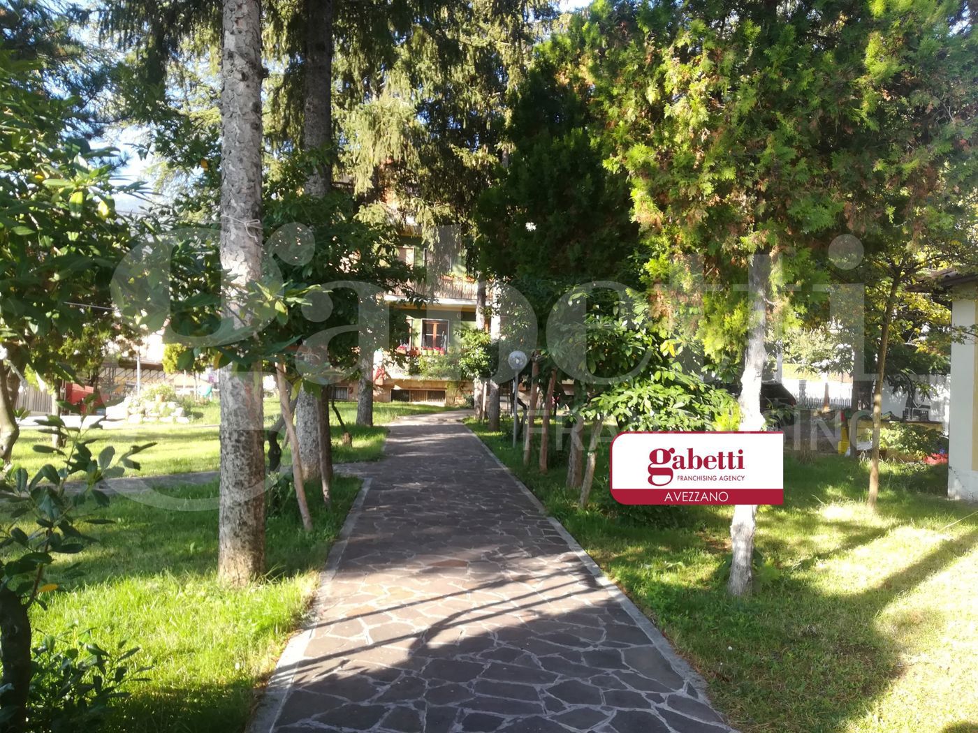 immagine annuncio 4 di 7