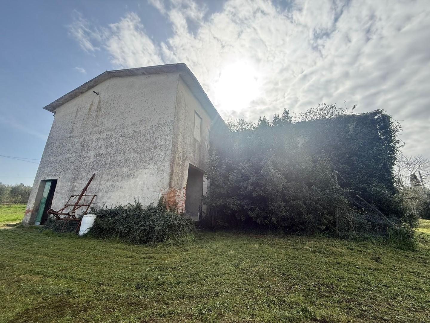 immagine annuncio 2 di 6