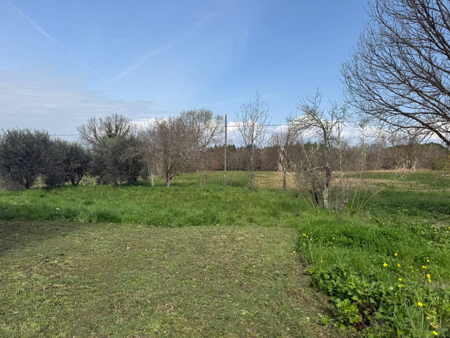 immagine annuncio 3 di 6