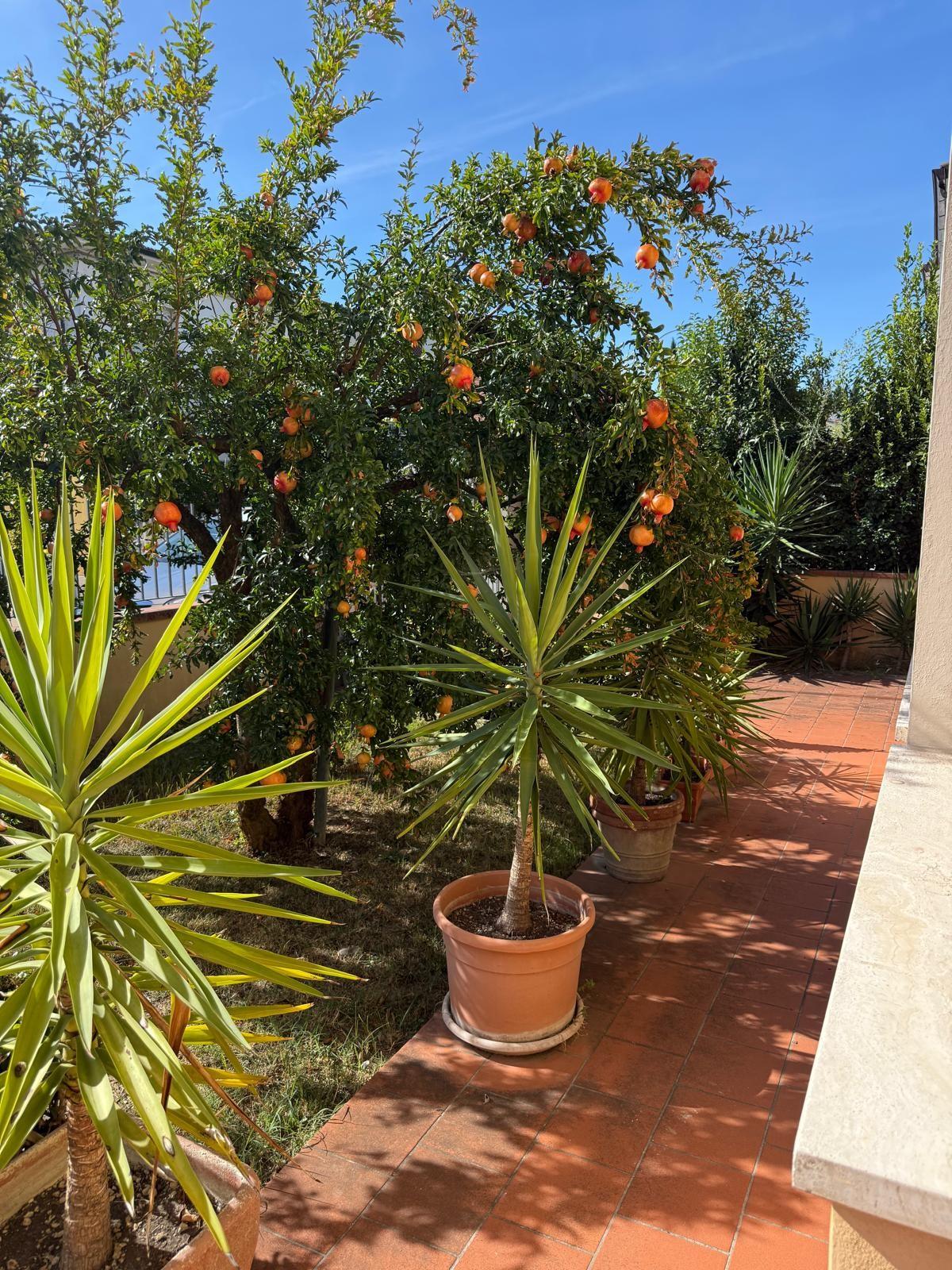 Villa con giardino a Fucecchio