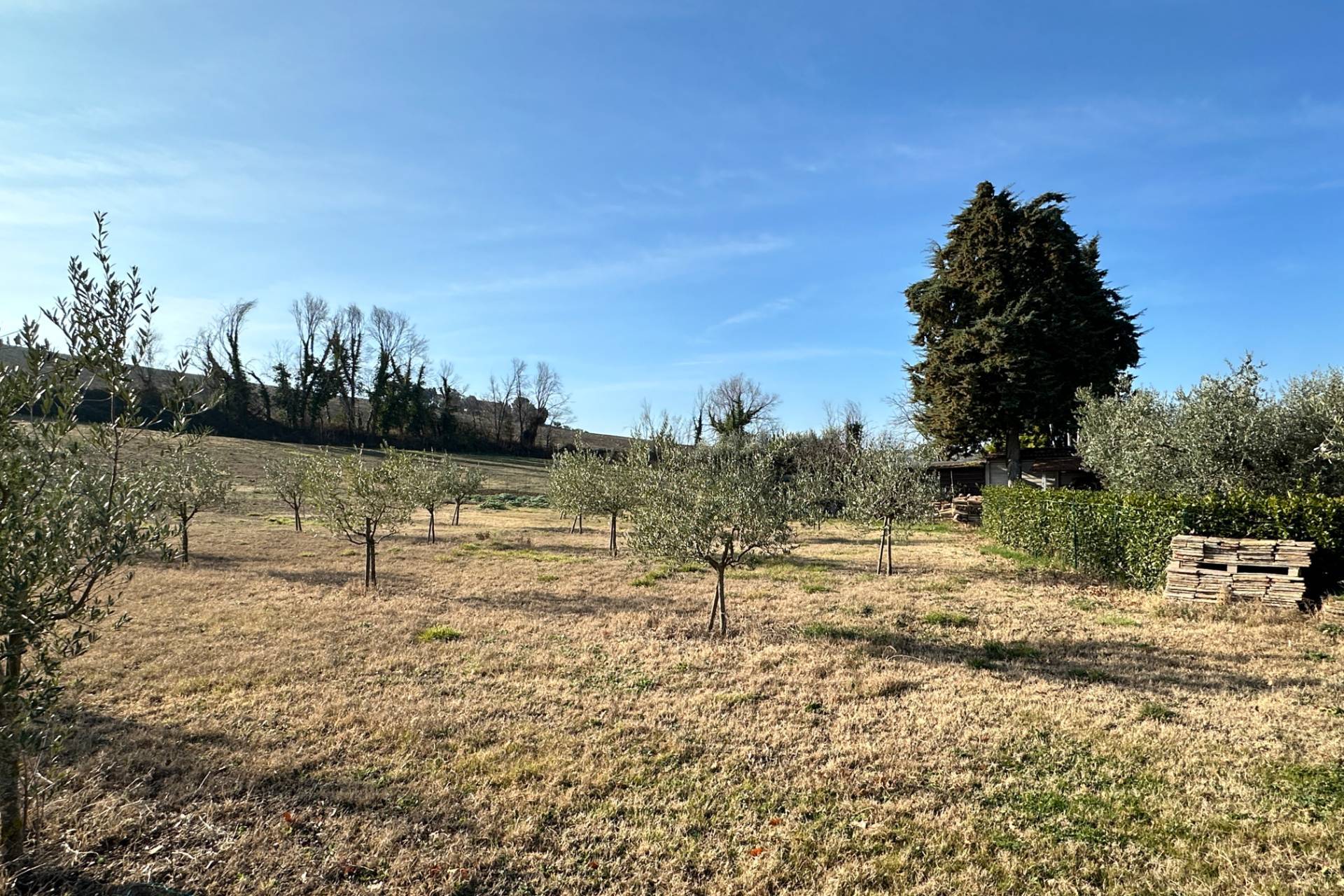 Indipendente in vendita a Pesaro, Villa Ceccolini