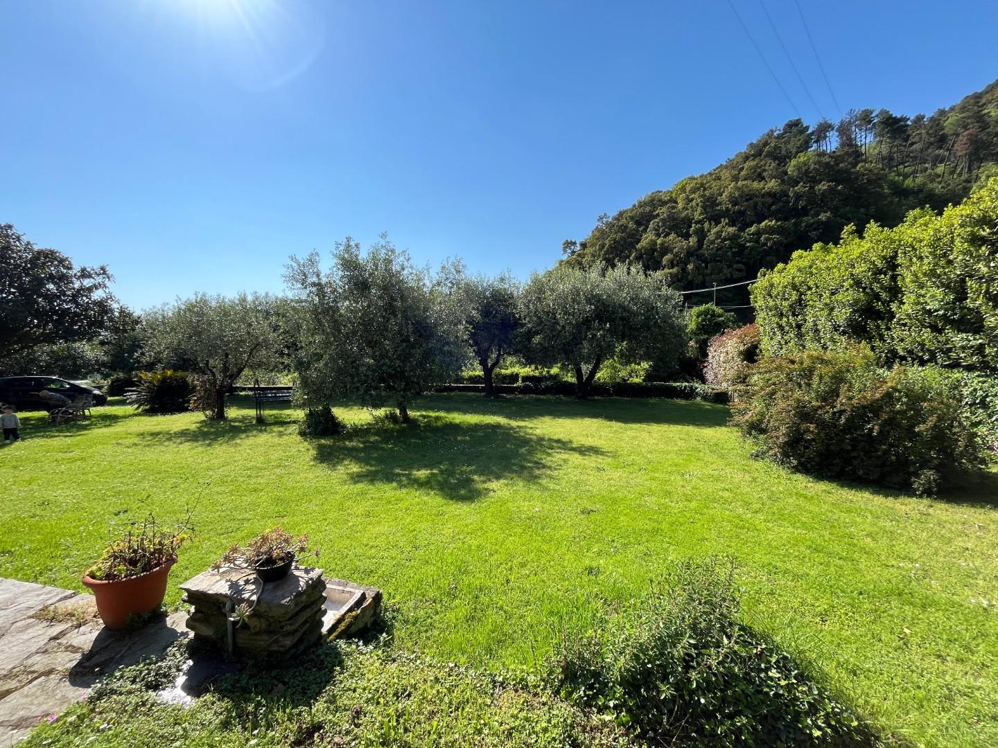 Casa indipendente con giardino, Montignoso capanne