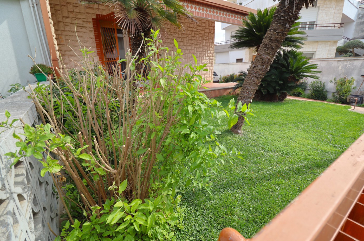 Villa con giardino a Casamassima