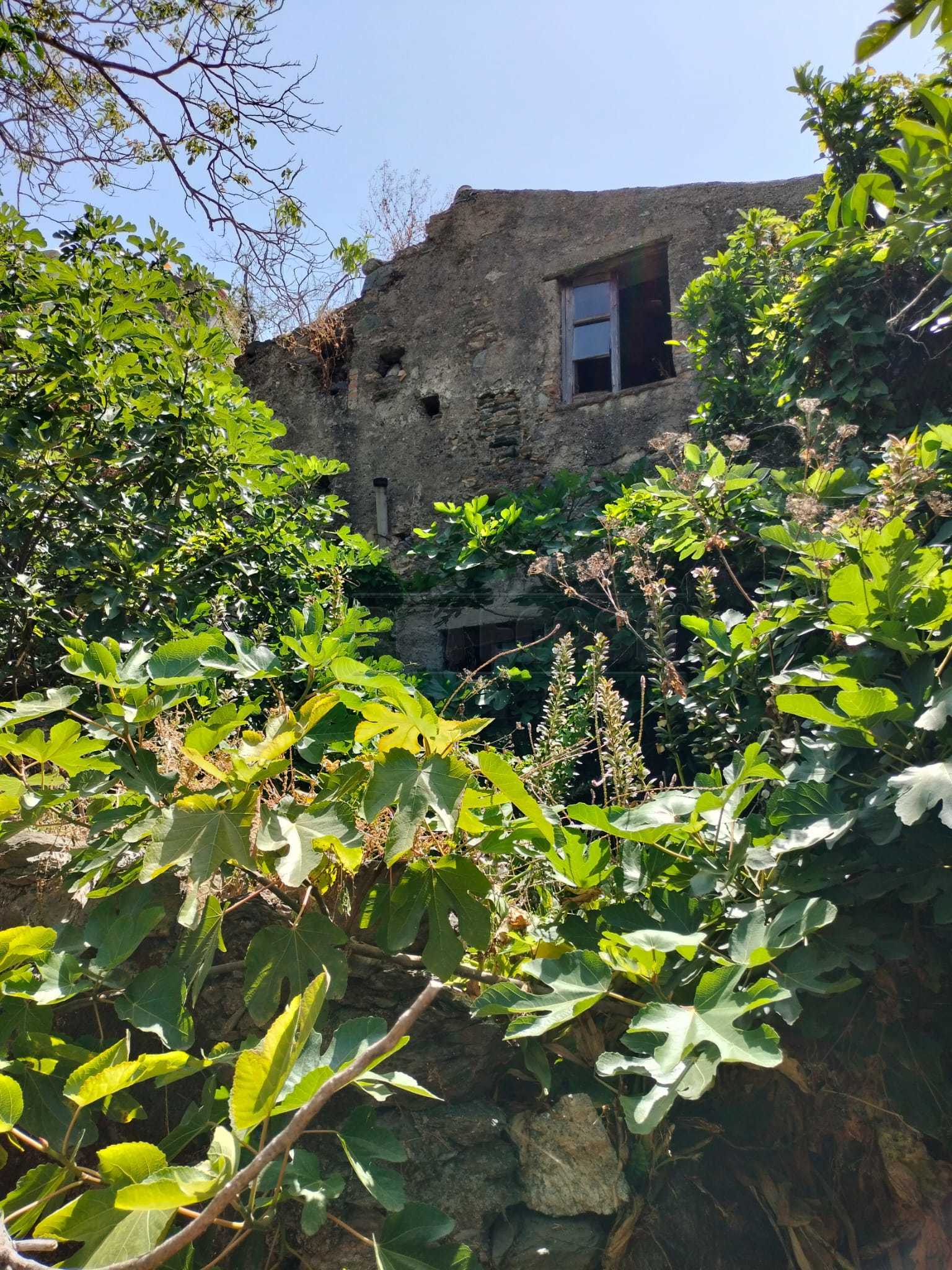 Terreno Agricolo in vendita in vico trave in giampilieri superiore 15, Messina