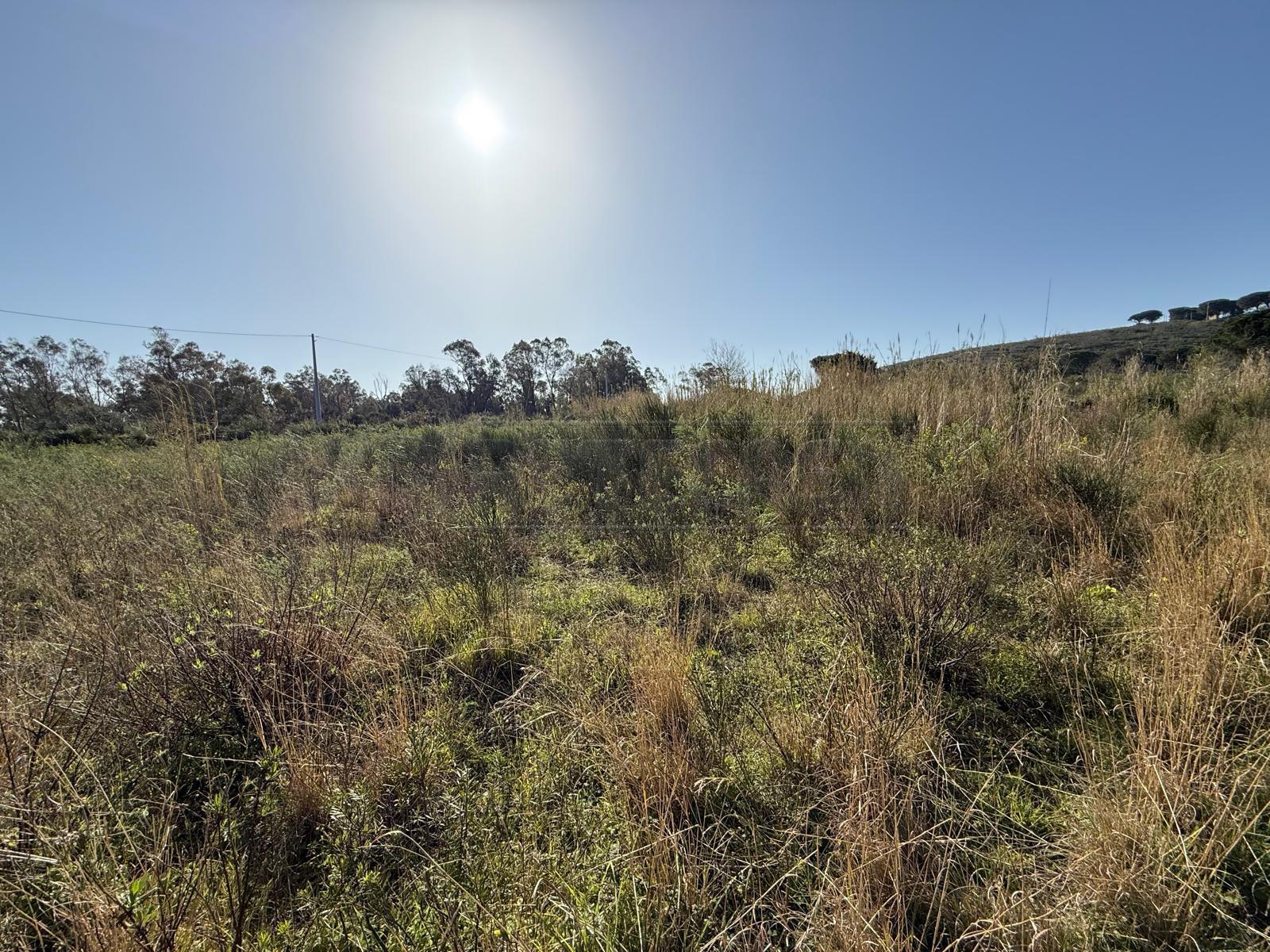 Terreno Agricolo in vendita in contrada campi, Messina