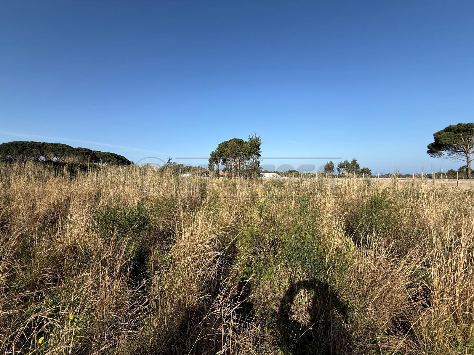 Terreno Agricolo in vendita in contrada campi, Messina