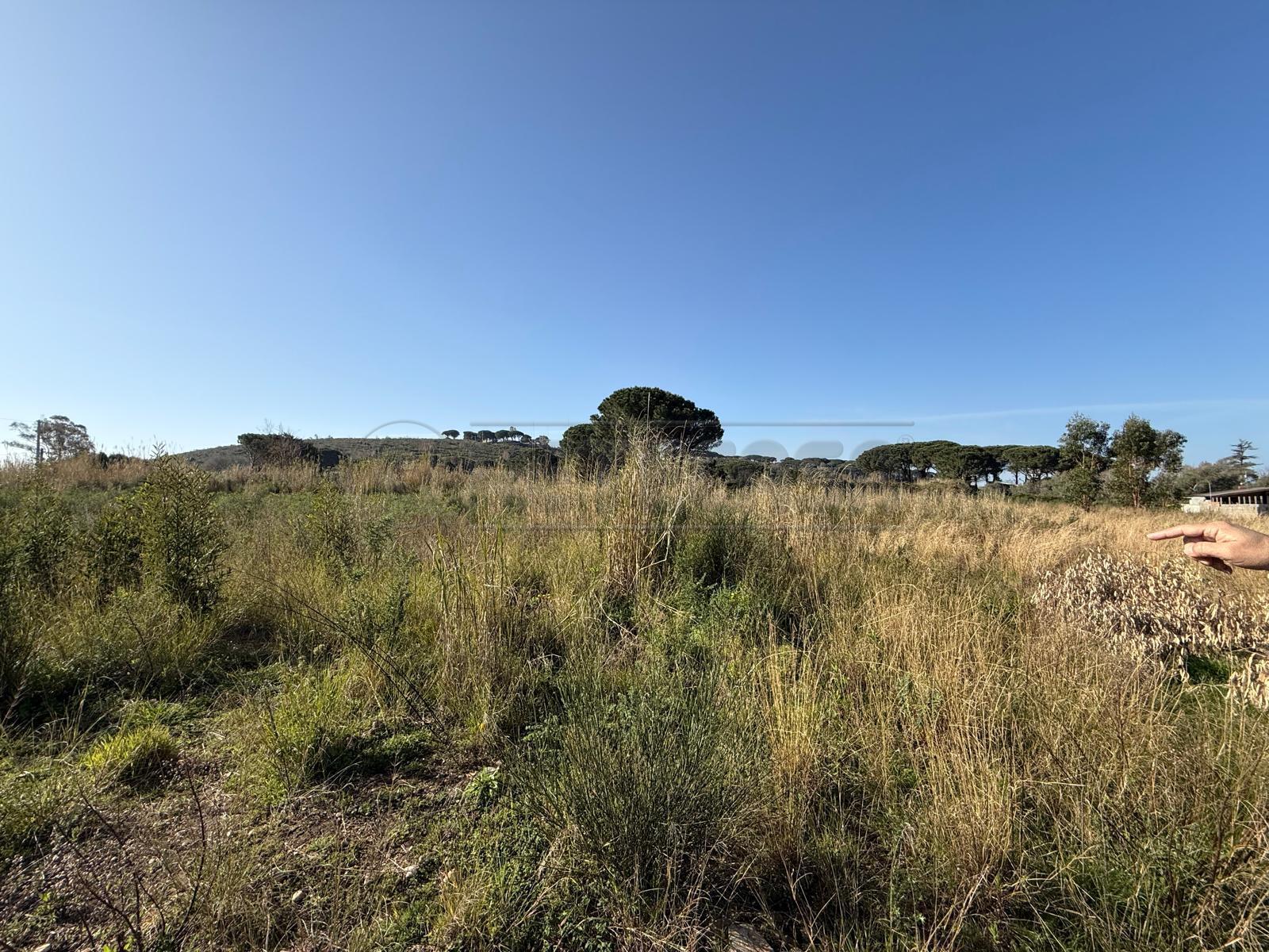 Terreno Agricolo in vendita in contrada campi, Messina